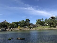 采女神社の道を挟んで東側にある興福寺の放生池、猿沢池。

周囲わずか３６０ｍの小さな池だが、池のほとりのベンチなどに腰を下ろして観光客らがゆったりと寛でいる。

自分もしばし、池のほとりのベンチに腰を下ろし、ゆったりとした時間の流れに身を置いた後、世界遺産「興福寺」の方に向かった。