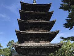 南円堂を背に、真東に目を向けると奈良時代の７３０年に建立された五重塔が見える。国宝。
高さ約５０ｍ、１４２６年に再建された６代目の塔。
まもなく約１２０年ぶりの大規模修理が行われるので、下準備が行われていた。
修理終了は２０３０年３月の予定で、暫くはこの立派な姿も見られない。