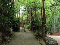 大河内山荘の入り口は竹林の道に面しています。
竹林の道の終点あたりに入り口がありました。
