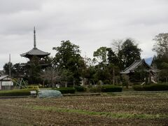 百済寺三重塔　農地の中にたたずんでいる雰囲気は最高。駅から遠く３５分くらい歩いて行きました。