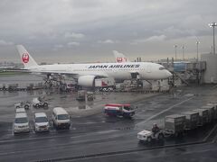 さて、７時３０分発の伊丹空港行きＪＡＬに乗り込みます。

いや～　いい東京滞在でした。

（後日追記）
この機体、写真を見たらJA13XJでした。