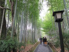 竹林の小径。
嵯峨野みたいですね。