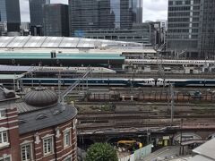 末っ子の授乳でKITTEへ。
授乳の間、息子たちは屋上庭園で電車見物。
はやぶさ、かがやきを見れて大興奮だったらしい。親父も。