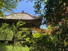 近くのお寺行ったり。