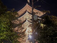 五重塔のライトアップも見に行きました。
奈良の夜も楽しむことができてよかったです。