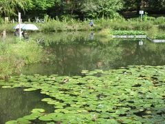 川口自然公園（埼玉県川口市差間）

釣りをする人がいます。

今年は全く野鳥を見かけなくなって、野鳥目的のカメラマンが来なくなった。
