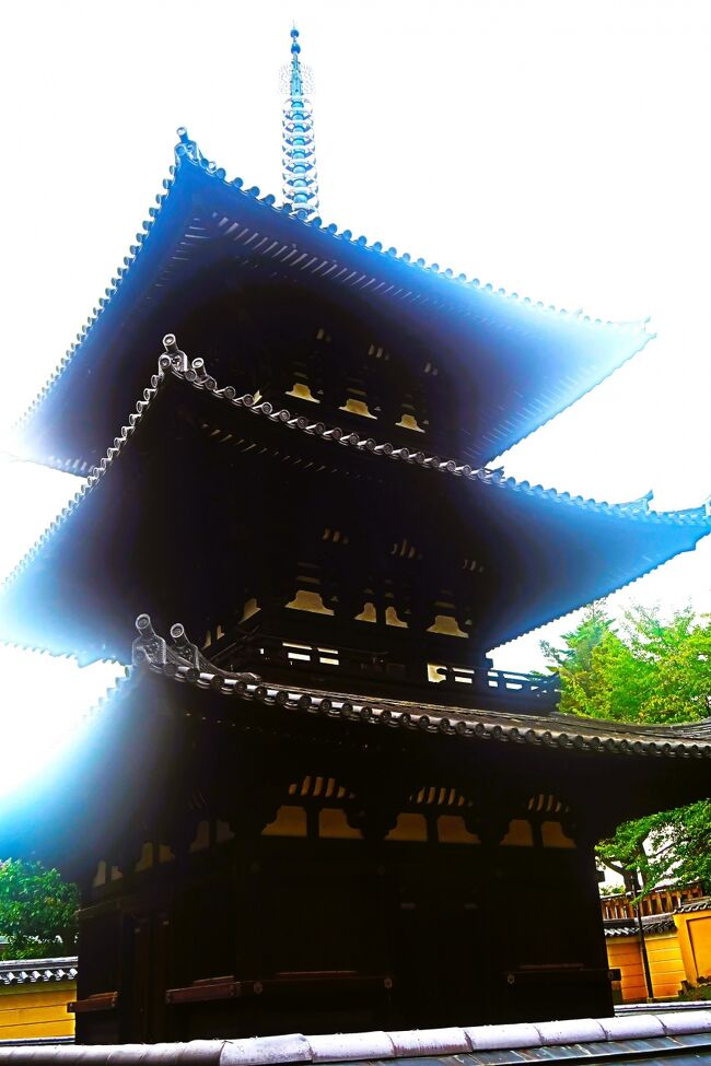 奈良34 興福寺 中金堂復元/五重塔大修繕開始 ☆猿沢池~三条通り 奈良34 興福寺 中金堂復元/五重塔大修繕開始 ☆猿沢池~三条通り