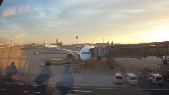 MYSOSを入れず来たので　手続きの為107ゲートから141ゲートまで歩かされました。