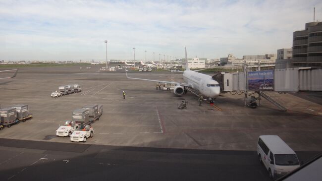 朝便はJALしか無いので　JALでセントレアに<br />いつもの24番ゲート