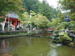 龍泉寺の境内に広がる山の湧き水で出来た池。
マイナスイオンに溢れてるー。
神社とは違って、ここは安心感がありますね。
