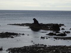 珠洲岬から千枚田に向かう途中の海岸沿いにゴジラ岩がありました。
もっと崖のような大きい岩を想像していたので、確かにゴジラの形してるけど、小さすぎ。
危うく見落とすところでした。