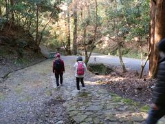　先頭を行く人は赤い帽子が目印「奈良観光ガイド」のガイドさんです。このガイドさんの案内で、世界遺産「春日山原始林」から「春日大社」まで歩きました。
