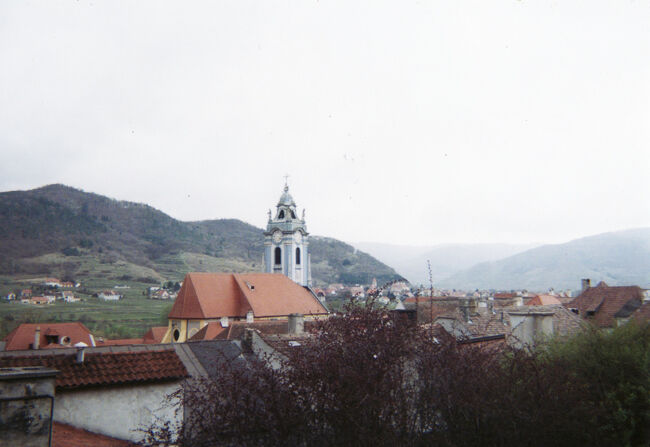 ケーリンガー城跡を目指して山道を登ります。