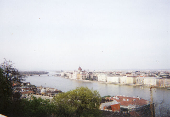 快適な登り路。何か私、この旅登ってばっかりです。