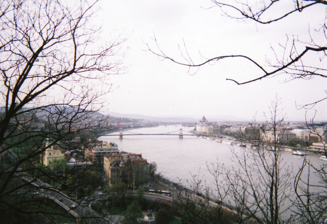 ゲッレールト山を登ってシタデルに向かいました。