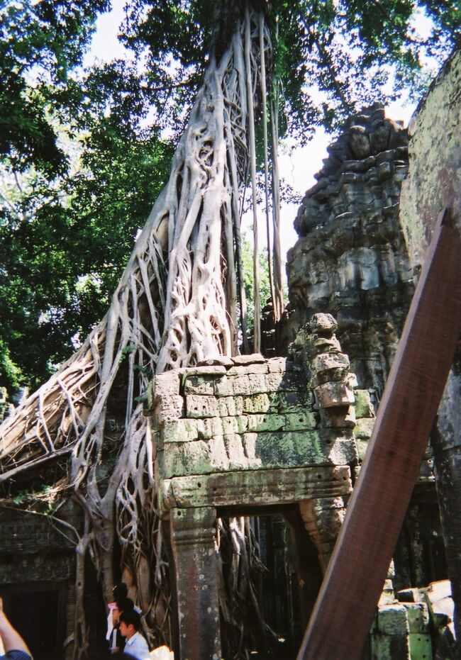 仏教寺院からヒンズー寺院にリフォームされたタ・プローム寺院。ガジュマルの木に飲みこまれ、今となってはガジュマルが遺跡を崩壊させようとしているのか、ガジュマルがあったから遺跡が原型を保てていたのか解らないそうです。