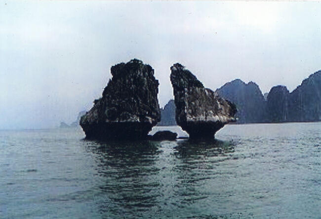 山水画的世界観を感じました。