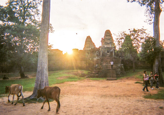 東メボンに夕陽が沈みます。