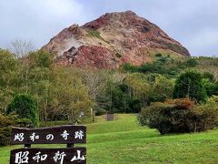 昭和新山にやってきました。

昭和19年に噴火活動で隆起した山で、私有地の畑が隆起したので、昭和新山は私有地で、個人の財産なんだそうです。