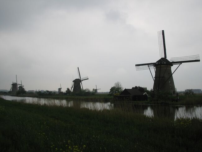 アムステルダムからバスで向かったのは、キンデルダイクという街です。<br />ここにはオランダの代名詞、風車が19器残されております。