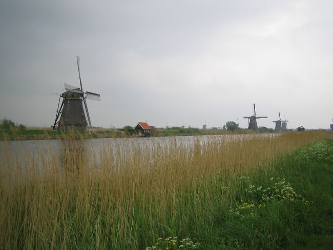 世界遺産です。<br />当時思いバックパックを背負い、徒歩でキンデルダイクを歩いた苦労と感動の入り混じった感情が今でも懐かしく思い出されます。<br /><br />さて、短いですがオランダ旅行記はここまでです<br />この後はベルギーに向かいました。<br />そちらはベルギー旅行記をお願い致します。<br /><br />ほんの数枚の旅行記にお付き合い頂きありがとうございました。<br />またいつかオランダを訪れた際は、この旅行記を更新したいと思います。<br /><br />ありがとうございました。<br /><br />