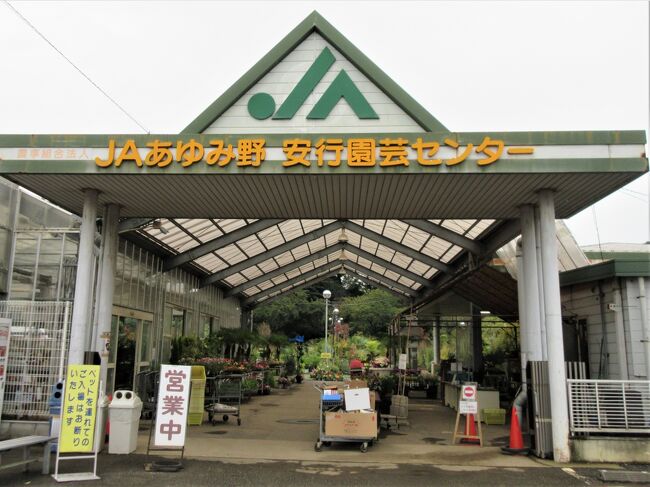 花と緑の振興センター 興禅院 小林もみじ園 初秋の安行散策22年10月 川口 戸田 蕨 埼玉県 の旅行記 ブログ By Ron3さん フォートラベル
