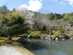 池の周りはそれほど花は多く咲いていませんが