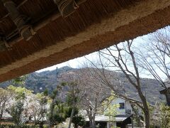 パンとエスプレッソと嵐山庭園。
紙を見ると7組ほどでした。
どれくらい待つかな・・・