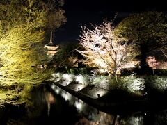 混んでいるかなと思ったけど、紅葉の時期の混みっぷりに比べたら大したことありませんでした。