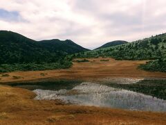 田茂萢湿原。