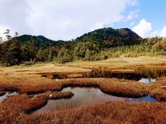 60を越える小さな池が点在する、天国的な湿原です。
6月に着たときは水芭蕉の湿原だったのに、今は黄金色。