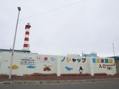 せっかくノシャップ岬に来たから、日本最北の水族館、ノシャップ寒流水族館に行ってみましょう
昭和40年代に開業した、歴史ある小さな水族館です
レトロな壁も可愛いですね