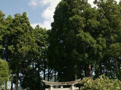 ●白鬚神社＠JR/新平野駅界隈

すると鳥居がありました。
白鬚神社です。