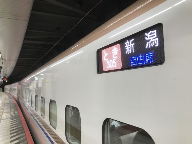 11/6(日) 新潟→上野 特急とき 特急券 1枚 窓側