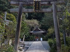 京都で一番好きな神社、大豊神社へ