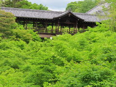 臥雲橋からの眺め。今は誰もいなくてほぼ独り占め。