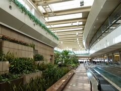 　京急の駅でJR九州「うちのたまご」の親子丼をテイクアウトして、保安区域内のガーデンで食べるのが、一時期は「定番」でした。
　今回ひさびさに復活させたのは、両親とも とても昼飯が入らなかったからです。親子丼１つを、３人で分け合いました。
