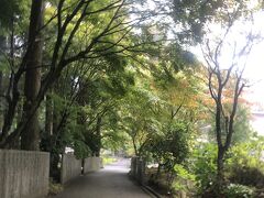 せっかくなので、雲辺寺本山も行ってみる。