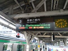 大船駅から東海道線に乗り換えて沼津駅まで来ました。