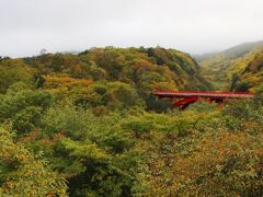 蓼科大滝を後にし、八ヶ岳高原をぐるりと回り込む形でホテルへ向かいました。
高速利用で1時間弱かかります。
思いの外、遠い。
明日も同じ道で高原の北側に戻らないといけないんですよね(-_-;)

チェックインする前にもう一つだけ観光を。
近くの東沢大橋へ。

紅葉の見頃は10月下旬～11月初旬なので少し早いですが少し色づき始めています。
紅葉の中の赤い橋はシンボリック。

15:30

