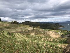 棚田風景が広がる。