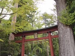 9時過ぎ、岡太神社・大瀧神社到着。