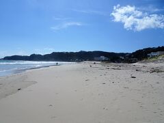 一面白い砂浜が続く白浜海岸ですが今年の台風は静岡県に被害が集中しているようで流木が目立ちます。

４トラに一言、白浜海岸の場所が違います、国道の山側ではなく当たり前ですが海側です、折角グーグルマップを利用しているのに、何故誤った場所になるのか理解に苦しみます。誤りもここだけであったら指摘できますが４トラでは日本中、世界中にゴマンと謝りあるのでイチイチ指摘はしません。