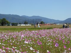 さて、ここからは10月19日（水）の橿原への遠足です

天気予報通り、朝から快晴・・・でも早朝は寒かった。私は最寄り駅までバイクで行ったのでコートを着込みました。

大阪から近鉄電車で高校の友人4人で来ました。