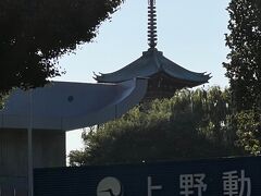 振り返ると
上野動物園の五重塔
が見えた

都美術館
来て良かった

旅行記動画版です
https://youtu.be/NQ5LpjBpZFU