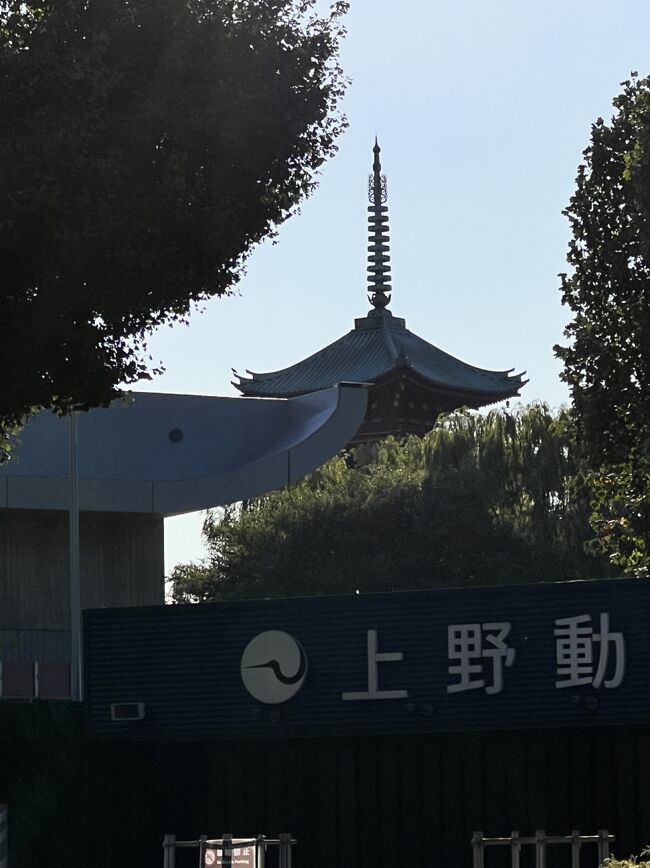 20221020 展覧会 岡本太郎 東京都美術館』上野・御徒町(東京)の