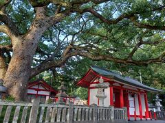 春日神社と大きなクスの木