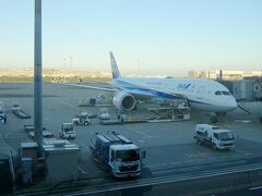 フランクフルトから羽田へ到着のANA機B787