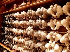 映画『ティム・バートンのナイトメアー・ビフォア・クリスマス』バージョンのホーンテッドマンションも行きたかったのですが、何度アプリで確認しても６０分前後の待ち時間のまま・・・

来年の１月４日までやってるので今回はスルーします！

あ、でもせっかくだから外観のデコレーションだけでも写真撮っておけばよかった～(＞＜;)

時間調整で入ったグランドエンポーリアムでは、ふわもこのカチューシャが新しく発売されてました♪