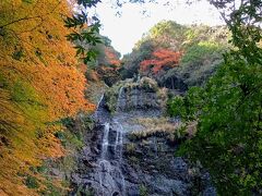 ２日目は、お宿を9時半頃にチェックアウトし、まずは鳴滝へ。
山道沿いの小さな駐車場に車を止め、そこから山中の階段をひたすら登っていくと・・ありました！思ったより大きいです。
紅葉も見事です！

